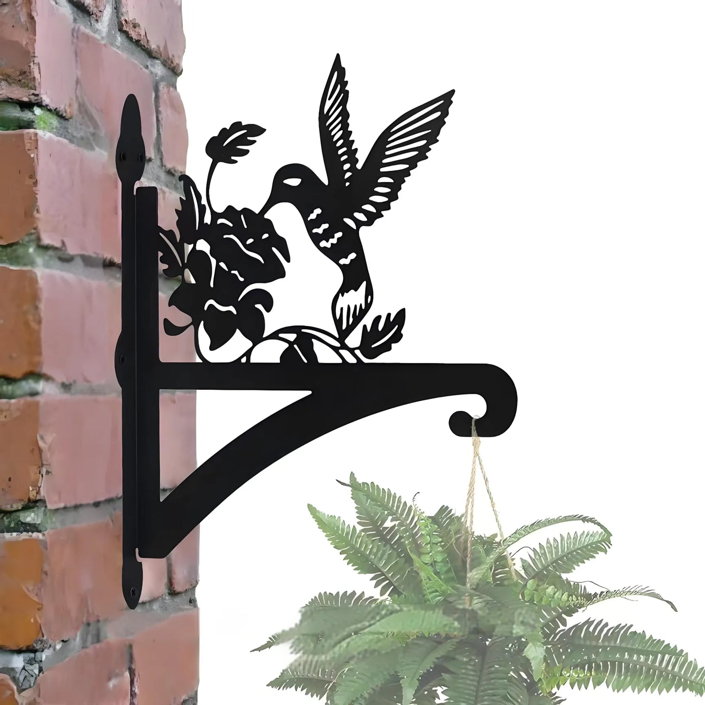 Whimsical Wall-Mounted Plant Hangers