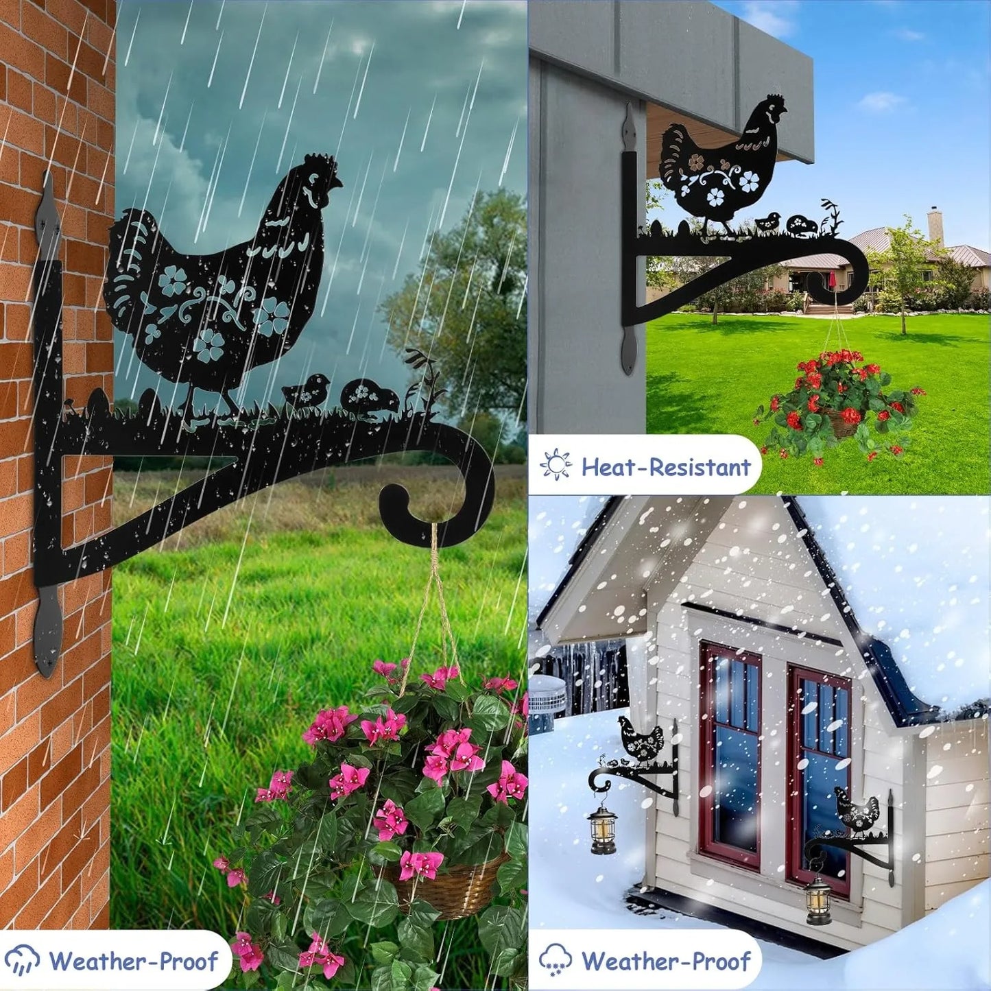 Whimsical Wall-Mounted Plant Hangers